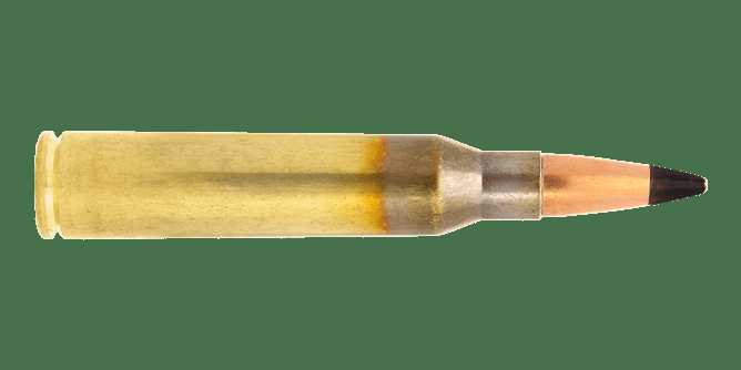 43M8055-338-Lapua-Magnum-cartridge-Armor-Piercing-AP529-2